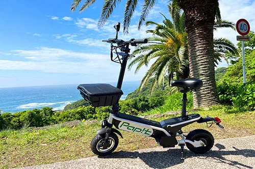 Rental electric kickboard