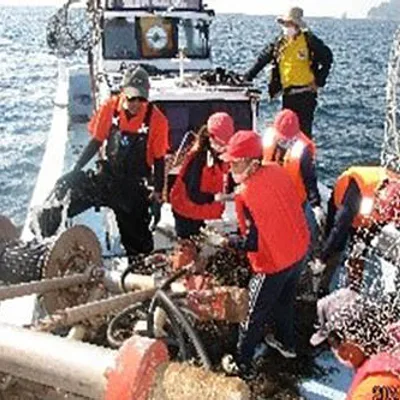 The guide will guide you!! An enjoyable plan where you can enjoy cruising on an Ibusuki fishing boat and gillnet experience eating fish caught on the beach grilled on the beach (3 hour course)