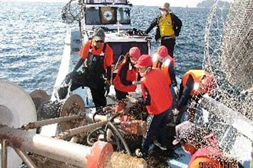 The guide will guide you!! An enjoyable plan where you can enjoy cruising on an Ibusuki fishing boat and gillnet experience eating fish caught on the beach grilled on the beach (3 hour course)