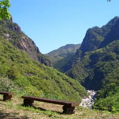 Hinokage Forest Therapy [Yahazudake trolley road]