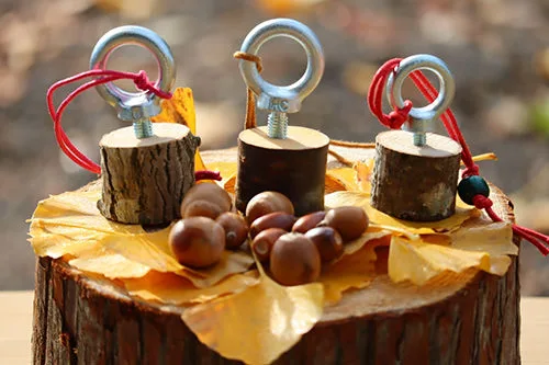 Tree education! Bird call experience using Hinokage trees