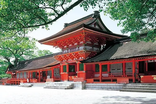 【Taxi sightseeing】Usa Jingu round trip course