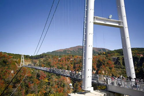 [Taxi sightseeing to and from Beppu] Kokonoe Yume Otsuribashi round trip course
