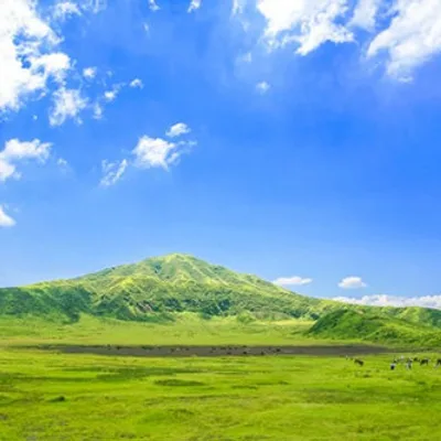[Taxi sightseeing to/from Beppu] Mt. Aso sightseeing round trip course