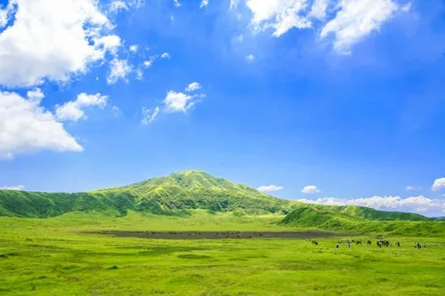 [Taxi sightseeing to/from Beppu] Mt. Aso sightseeing round trip course