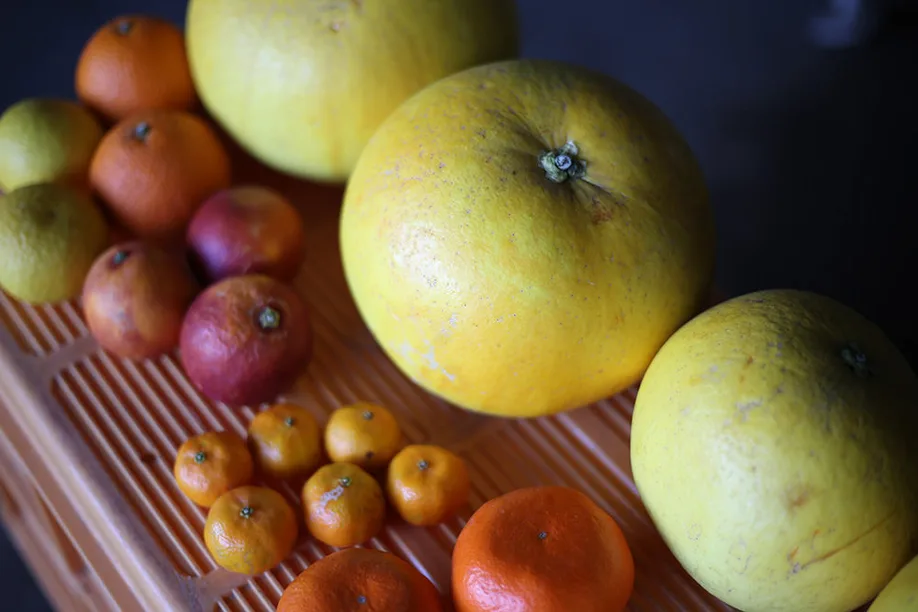 cultivating-worlds-largest-citrus-fruit-kumamoto_06