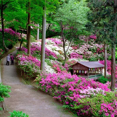 Daikouzenji Temple