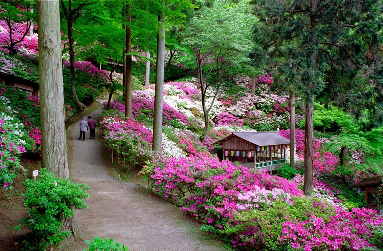 Daikouzenji Temple: