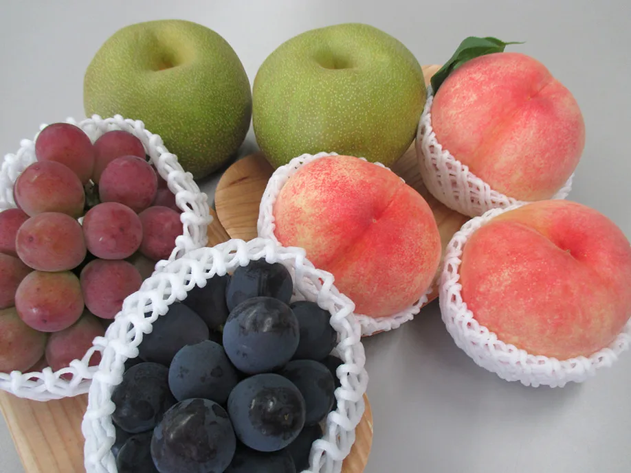 discover-fukuokas-fruit-kingdom_02