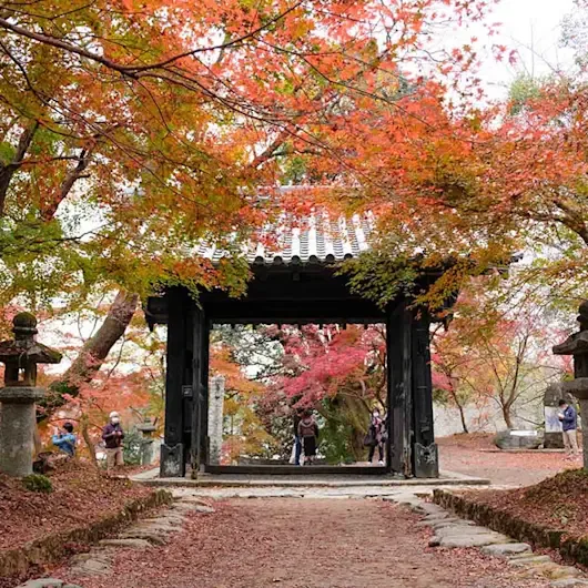 Autumn