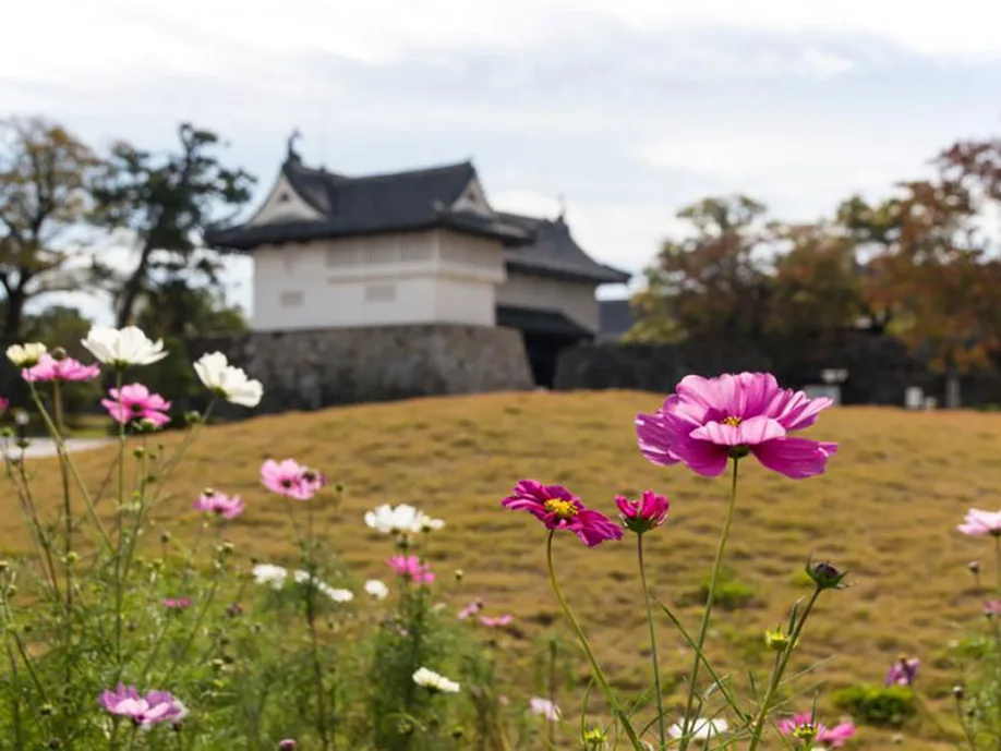 exploring-saga-city-and-sake-street_04