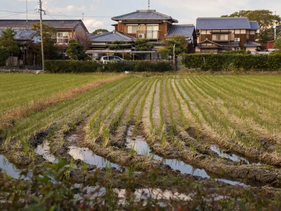 follow-canals-humble-beauty-yanagawa_05