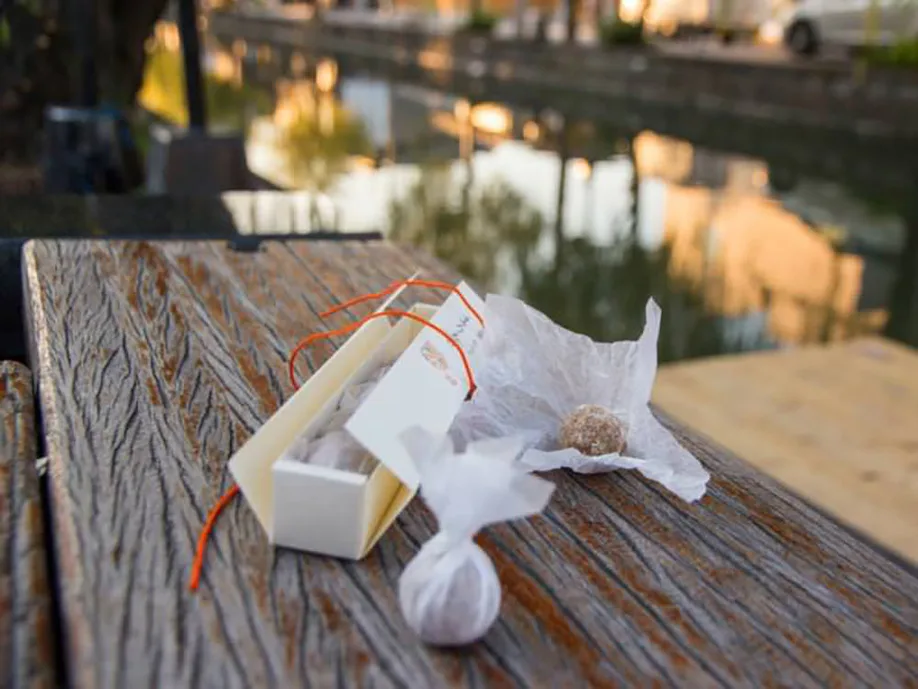 follow-canals-humble-beauty-yanagawa_09