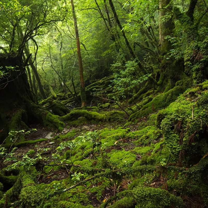 kyushu-rail img 12