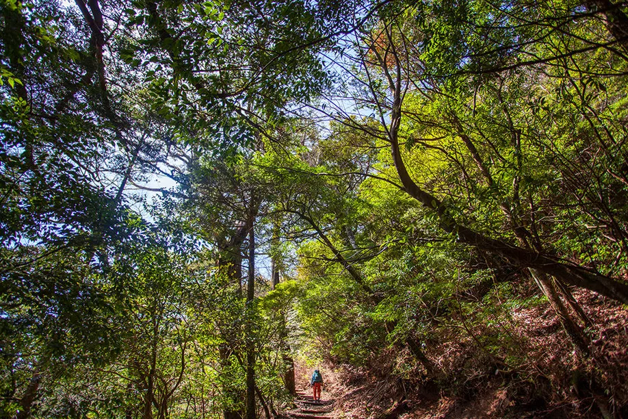 hiking-ebino-highlands_09