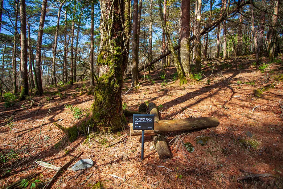hiking-ebino-highlands_13