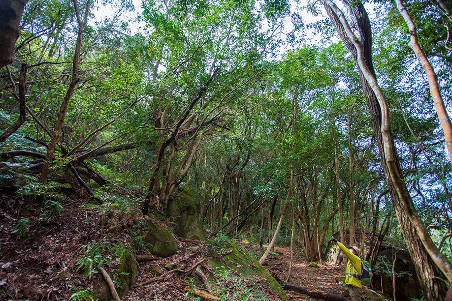 hiking-matsushima-olle-course_09