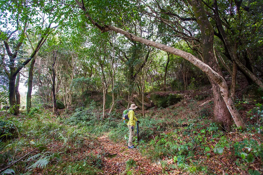 hiking-matsushima-olle-course_13