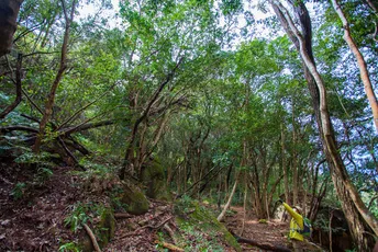 Hiking Matsushima Olle:Course to Explore the Nature and Intriguing History of Amakusa Island