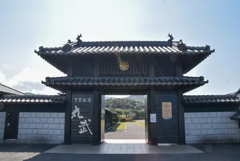 Immerse Yourself in the History and Culture of Japan’s Samurai Warriors:At Marutake Sangyo