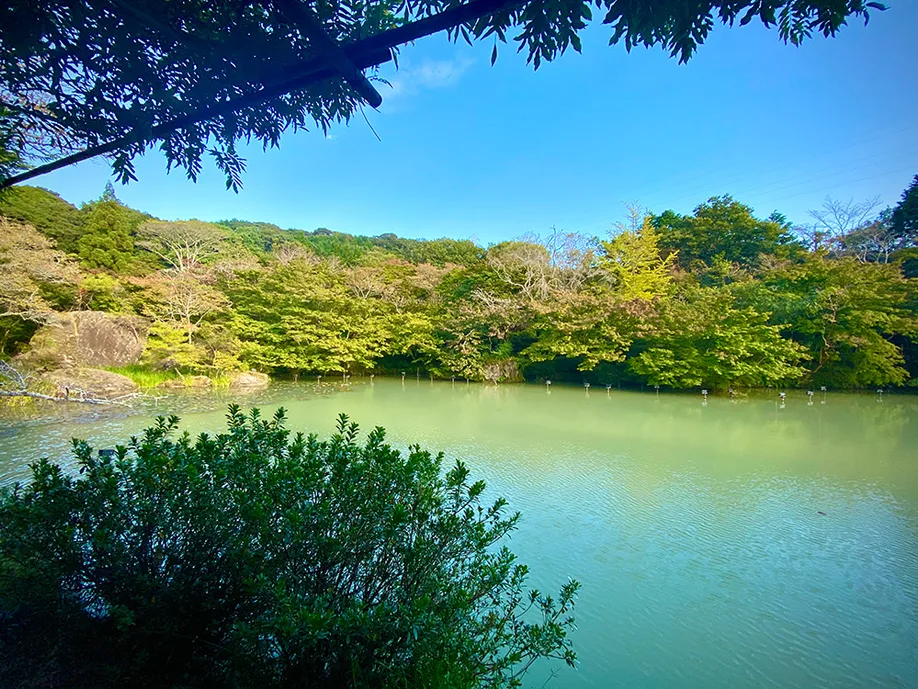 history-mifuneyama-rakuen-saga_02