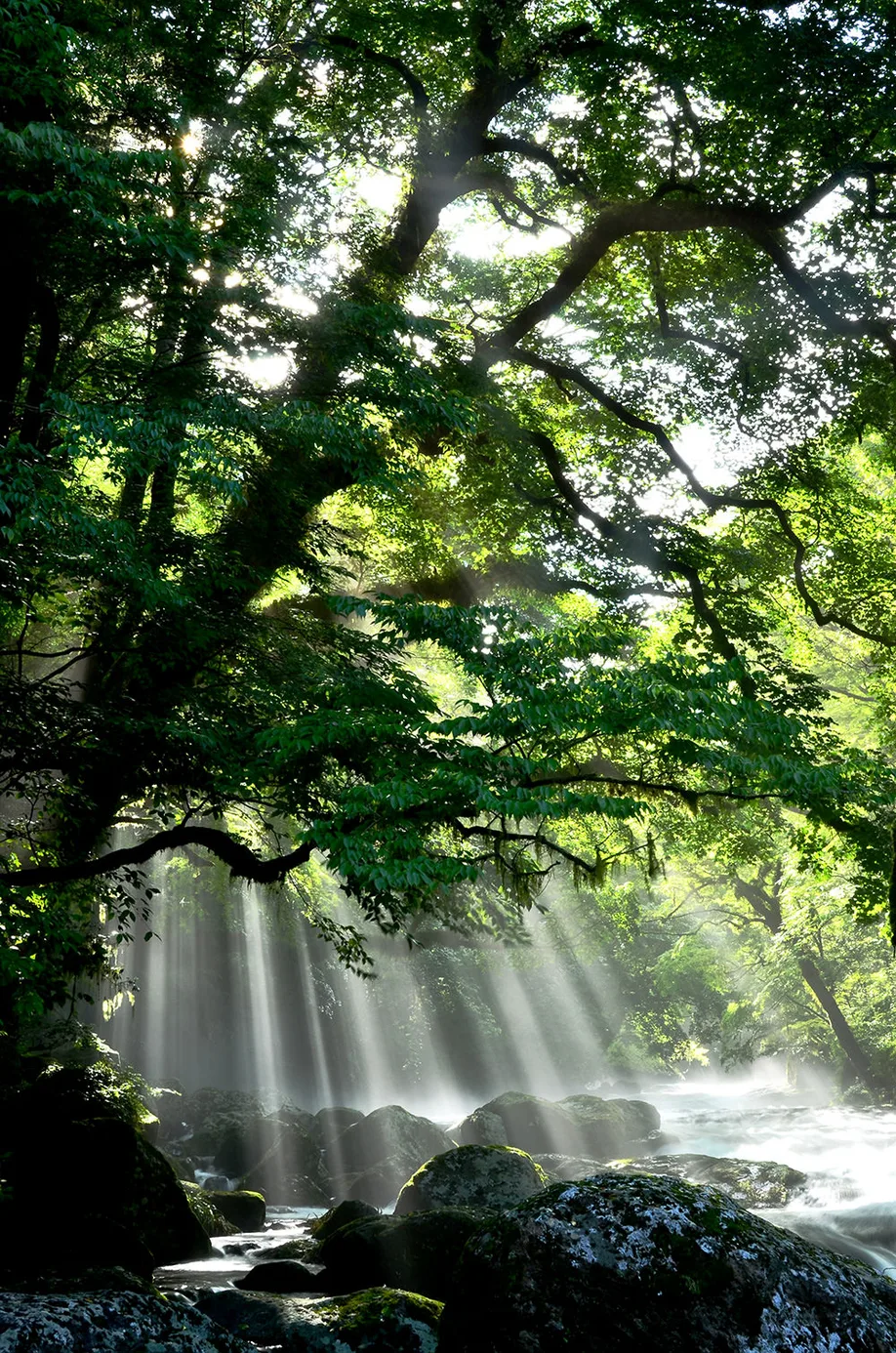 kikuchi_district_01