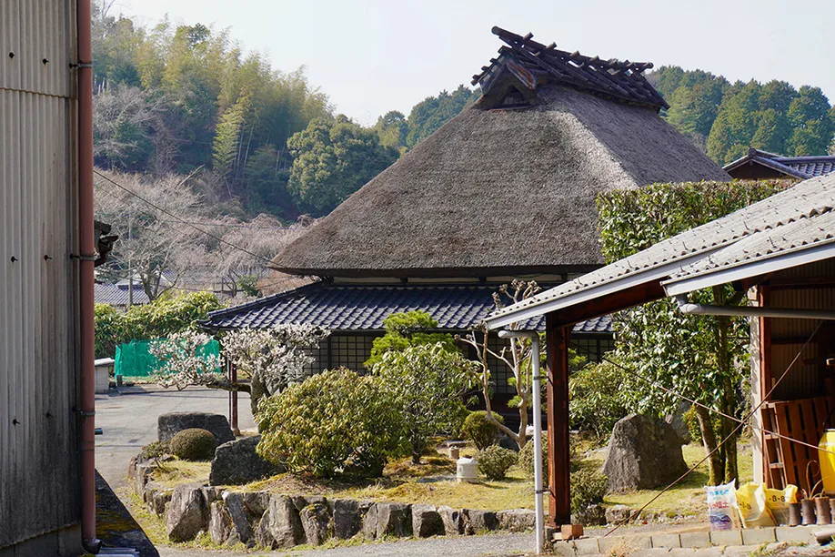 koishiwara-pottery-climbing-kilns-flying-dot-patterns_09
