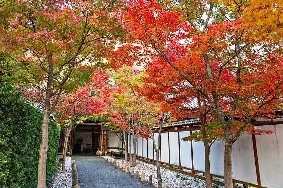 kokura_castle_kawachi_garden_08