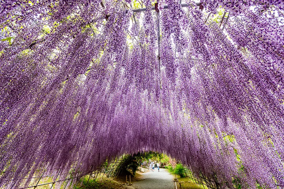 kokura_castle_kawachi_garden_12