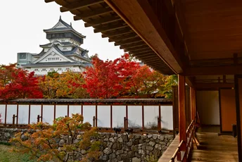 Kitakyushu Highlights:Kokura Castle and Kawachi Wisteria Garden