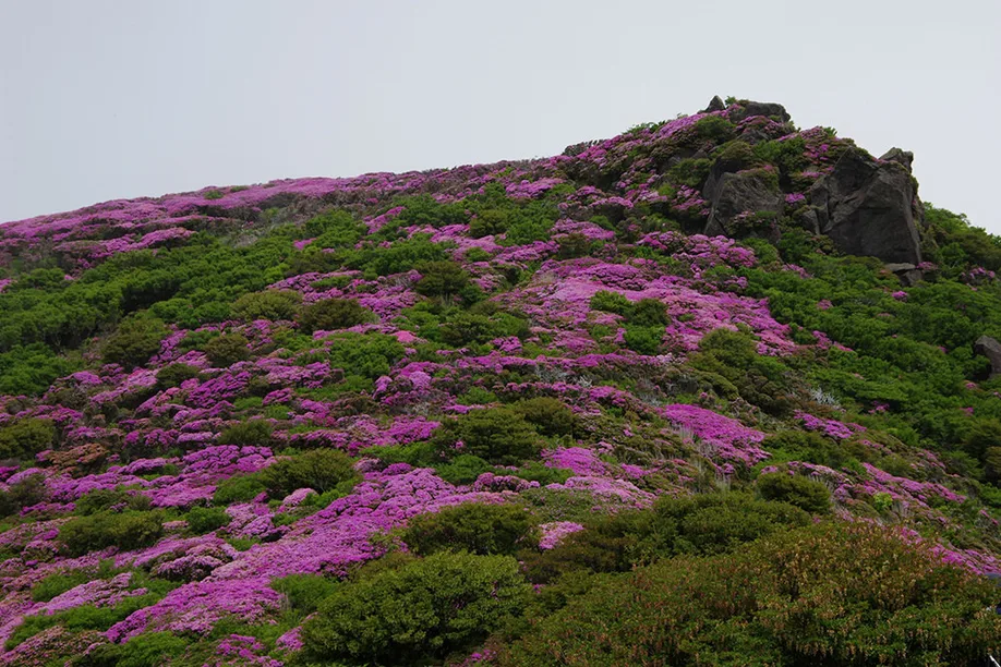 kuju-kyushu-aso-trekking_03