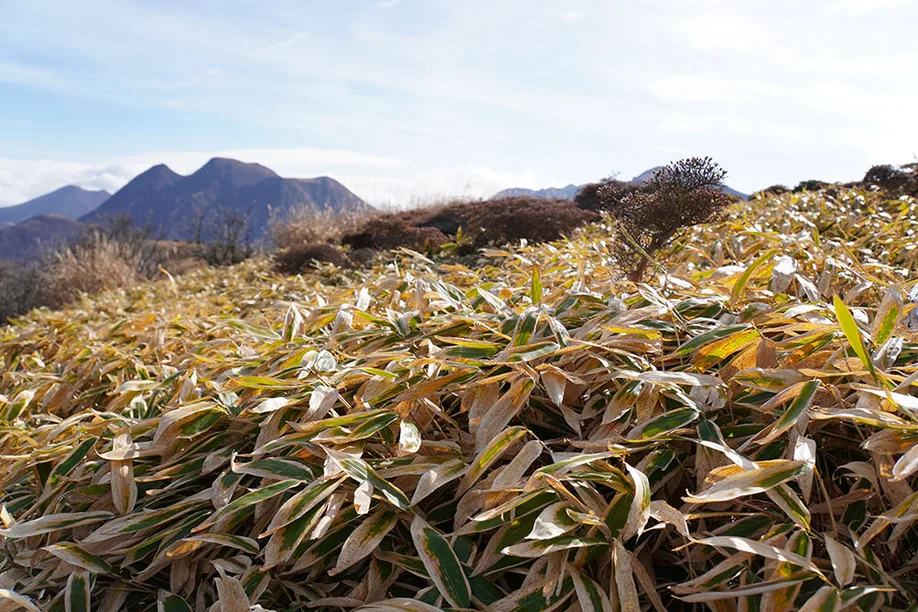 kuju-kyushu-aso-trekking_06