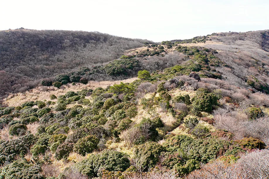 kuju-kyushu-aso-trekking_07