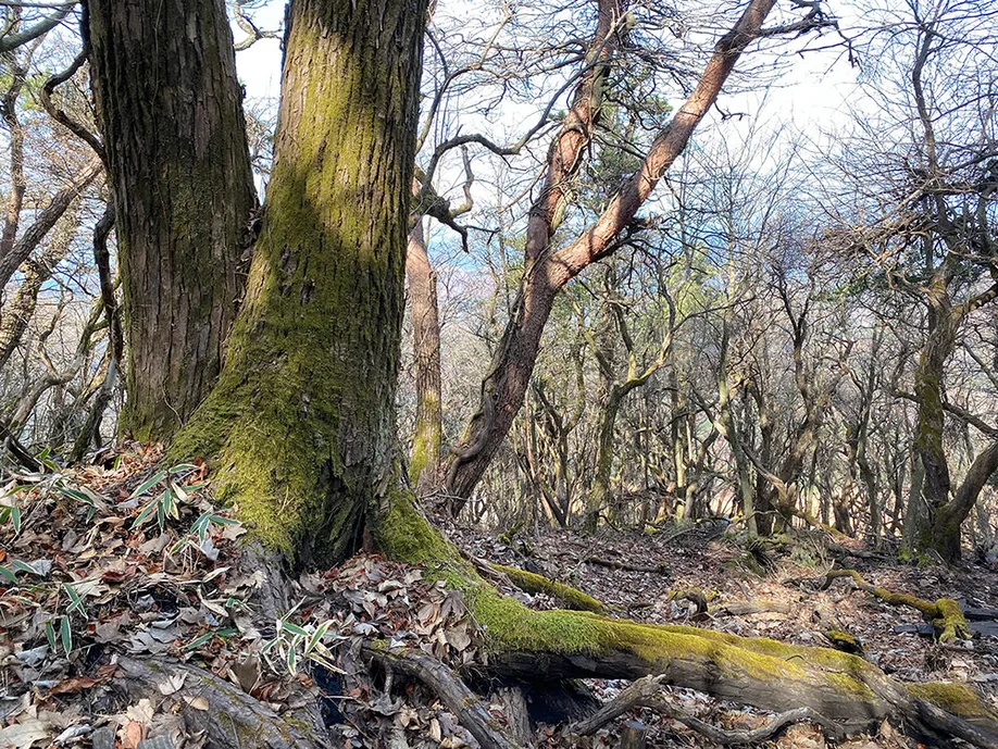 kuju-kyushu-aso-trekking_11