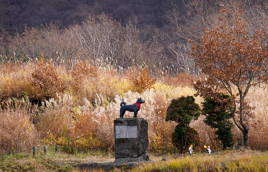 kuju-kyushu-aso-trekking_15