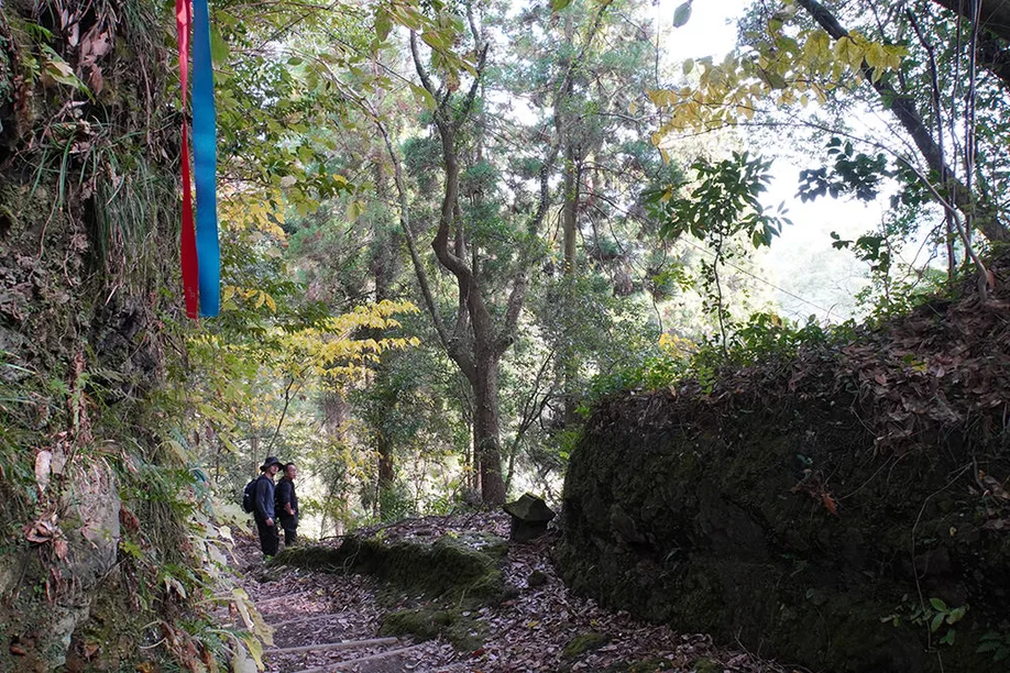 kyushu-olle-okubungo_01