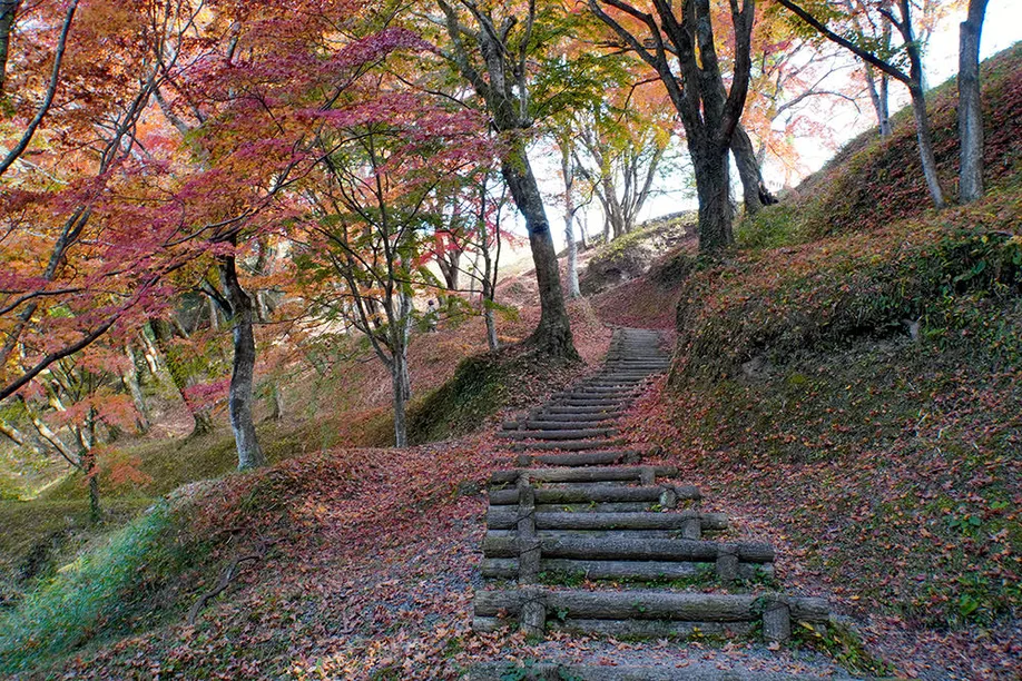 kyushu-olle-okubungo_04