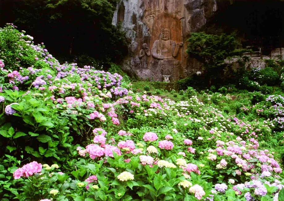 kyushu-olle-okubungo_08