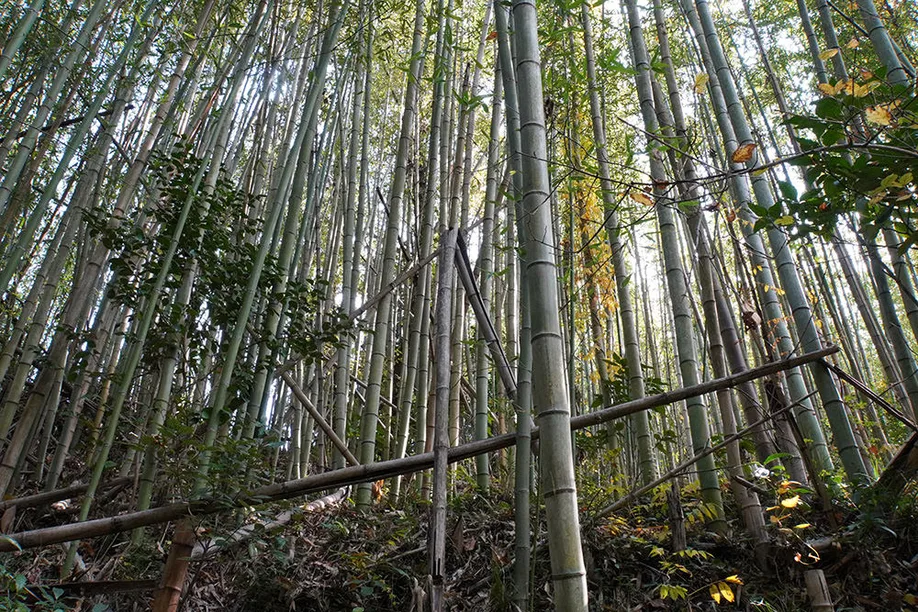 kyushu-olle-okubungo_09