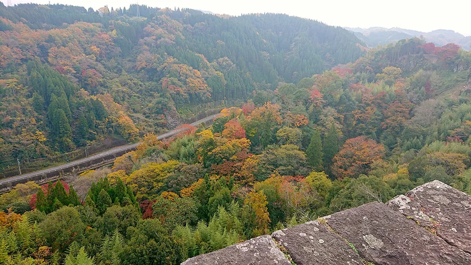 kyushu-olle-okubungo_13