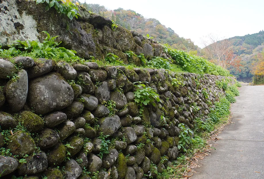 kyushu-olle-okubungo_19