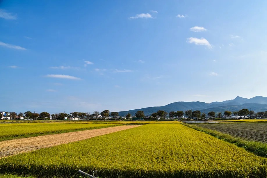 locals-japan-farm-stay-kagoshima_02