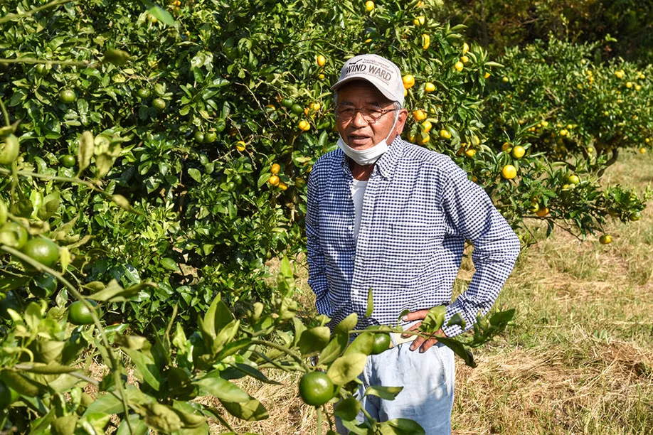 locals-japan-farm-stay-kagoshima_10