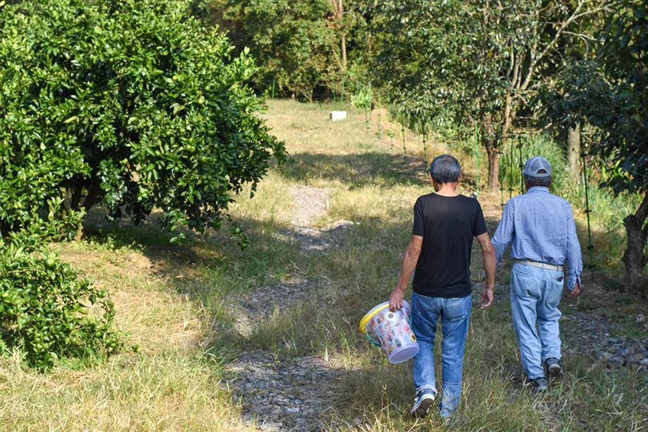 locals-japan-farm-stay-kagoshima_11
