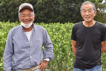 Meet the Locals at a Japan Farm Stay at Kagoshima:Kagoshima Prefecture