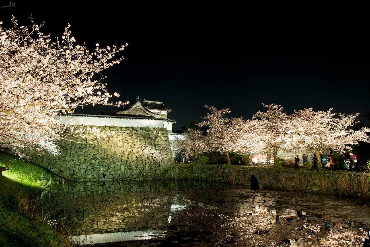 Maizuru park/Fukuoka Castle ruins: