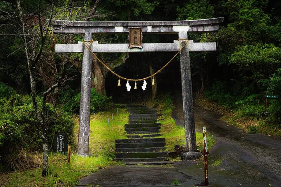 road-miyazaki_08