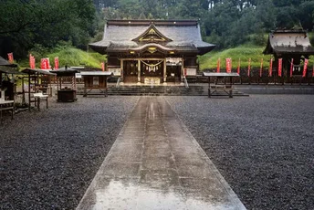 Road to Miyazaki:
