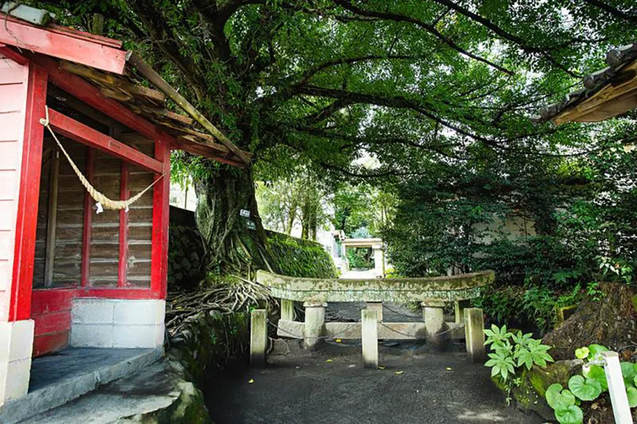 sakurajima-nature-its-mightiest_05