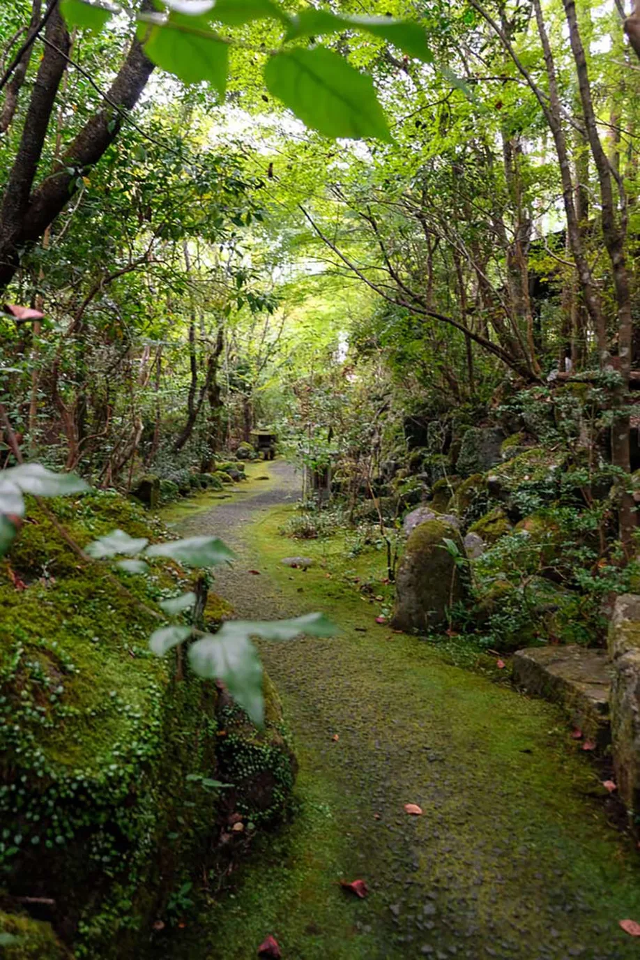 sanso-tensui-luxury-onsen-oita_03